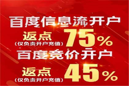 百度运营推广策略：成功案例解析